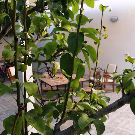 Il Giardinetto-3